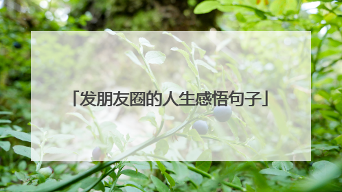 发朋友圈的人生感悟句子