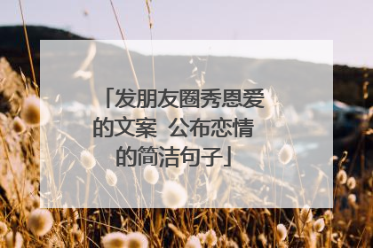 发朋友圈秀恩爱的文案 公布恋情的简洁句子