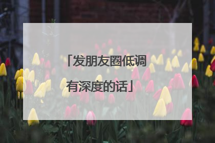发朋友圈低调有深度的话