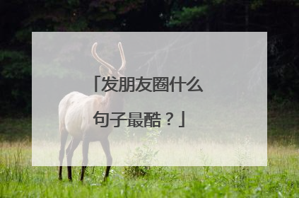 发朋友圈什么句子最酷?