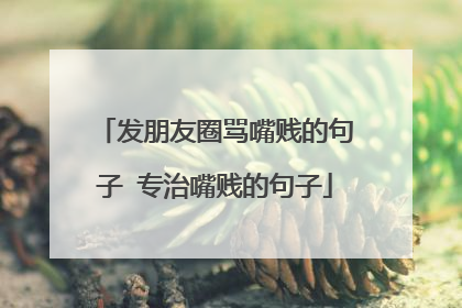 发朋友圈骂嘴贱的句子 专治嘴贱的句子