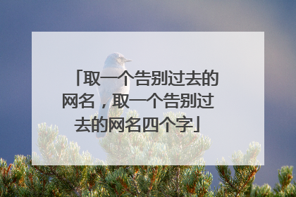 取一个告别过去的网名,取一个告别过去的网名四个字