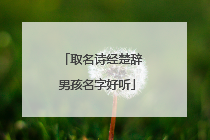 取名诗经楚辞男孩名字好听