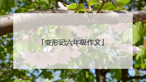 变形记六年级作文