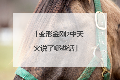 变形金刚2中天火说了哪些话