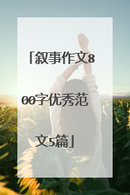 叙事作文800字优秀范文5篇