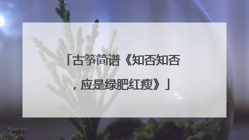 古筝简谱《知否知否，应是绿肥红瘦》