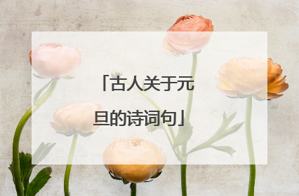 古人关于元旦的诗词句