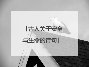 古人关于安全与生命的诗句