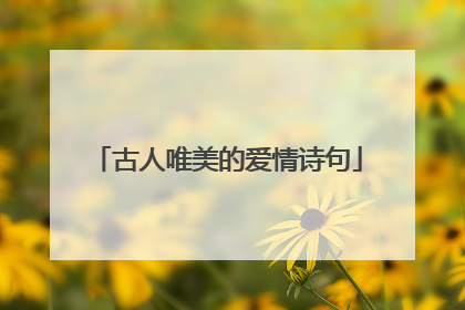 古人唯美的爱情诗句