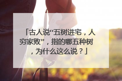 古人说“五树进宅，人穷家败”，指的哪五种树，为什么这么说？