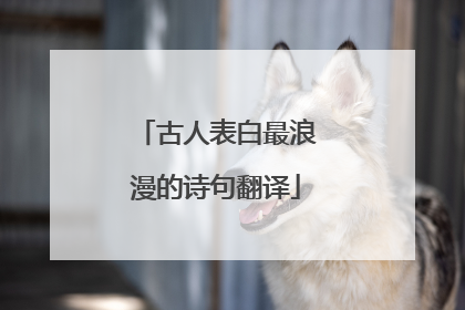 古人表白最浪漫的诗句翻译