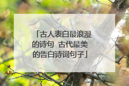 古人表白最浪漫的诗句 古代最美的告白诗词句子