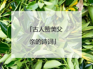 古人赞美父亲的诗词