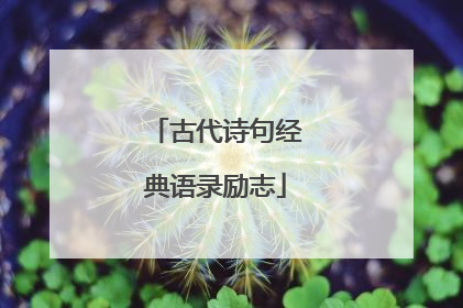 古代诗句经典语录励志
