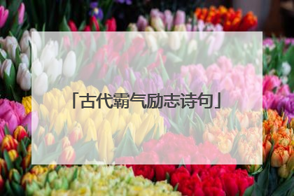 古代霸气励志诗句