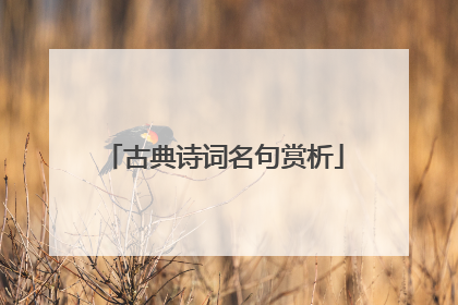 古典诗词名句赏析