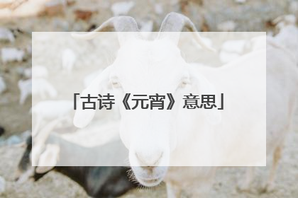 古诗《元宵》意思