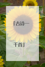 古诗一千首
