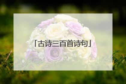 古诗三百首诗句