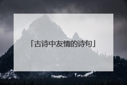 古诗中友情的诗句