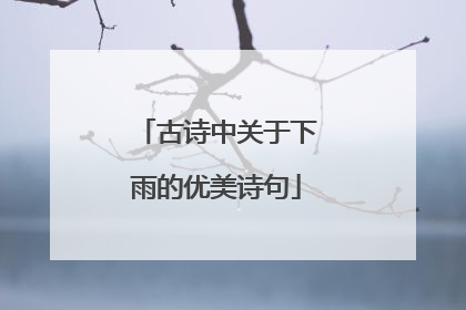 古诗中关于下雨的优美诗句