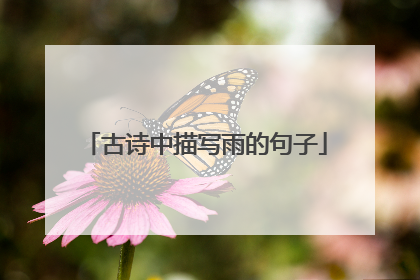 古诗中描写雨的句子