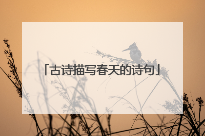 古诗描写春天的诗句