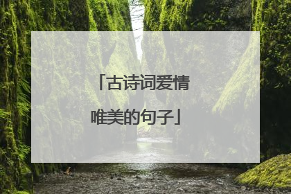 古诗词爱情唯美的句子
