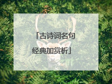 古诗词名句经典加赏析