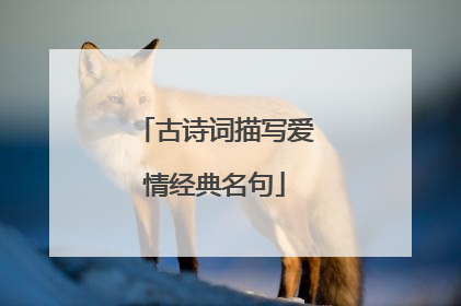 古诗词描写爱情经典名句