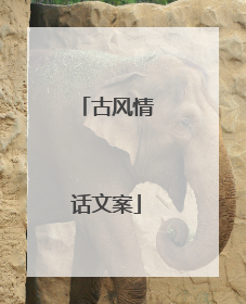 古风情话文案