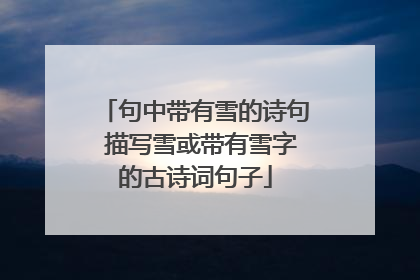 句中带有雪的诗句 描写雪或带有雪字的古诗词句子