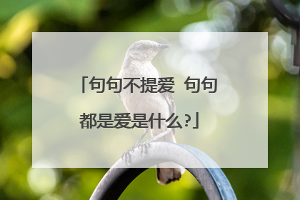 句句不提爱 句句都是爱是什么?
