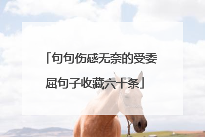 句句伤感无奈的受委屈句子收藏六十条