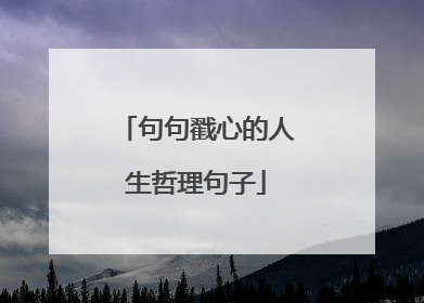 句句戳心的人生哲理句子