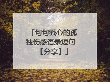 句句戳心的孤独伤感语录短句 【分享】