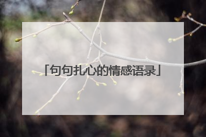 句句扎心的情感语录