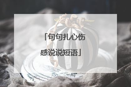 句句扎心伤感说说短语