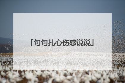 句句扎心伤感说说