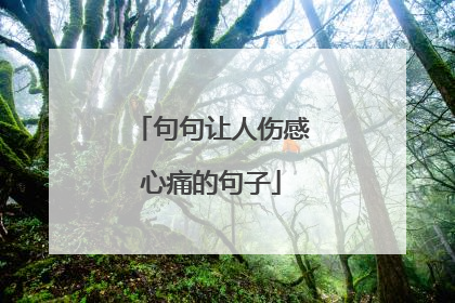 句句让人伤感心痛的句子