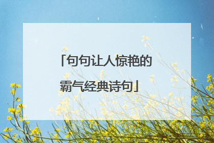 句句让人惊艳的霸气经典诗句