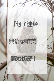 句子迷经典语录唯美简短伤感
