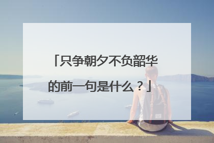 只争朝夕不负韶华的前一句是什么？