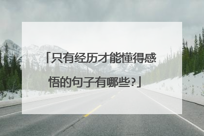 只有经历才能懂得感悟的句子有哪些?