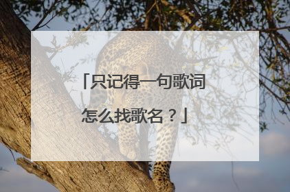 只记得一句歌词怎么找歌名？