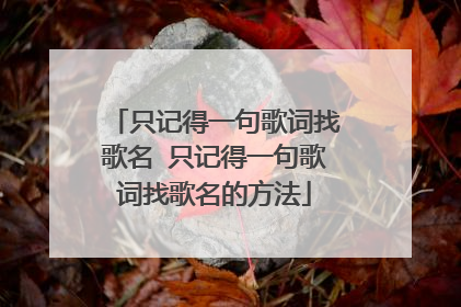 只记得一句歌词找歌名 只记得一句歌词找歌名的方法