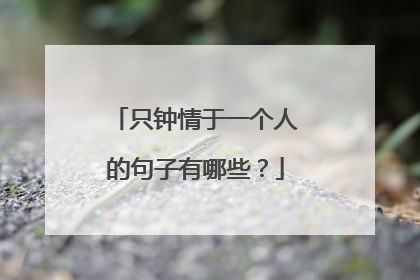 只钟情于一个人的句子有哪些?