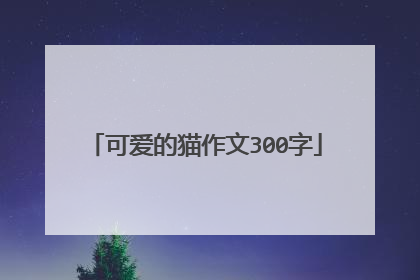可爱的猫作文300字