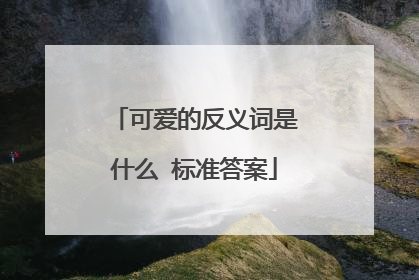 可爱的反义词是什么 标准答案